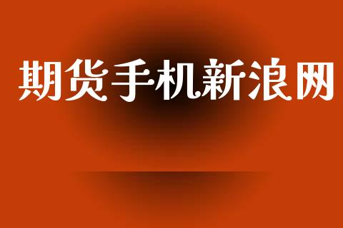 期货手机新浪网_https://wap.ycdhulan.com_财务投资_第1张
