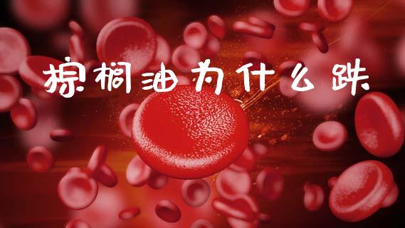 棕榈油为什么跌_https://wap.ycdhulan.com_财经新闻_第1张