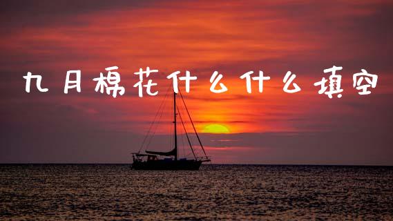 九月棉花什么什么填空_https://wap.ycdhulan.com_金融咨询_第1张
