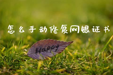 怎么手动修复网银证书_https://wap.ycdhulan.com_财经新闻_第1张