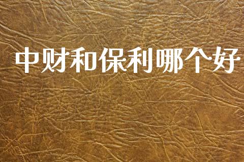 中财和保利哪个好_https://wap.ycdhulan.com_投资基金_第1张