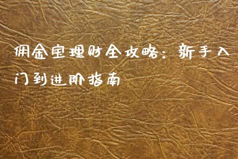 佣金宝理财全攻略：新手入门到进阶指南_https://wap.ycdhulan.com_国际财经_第1张
