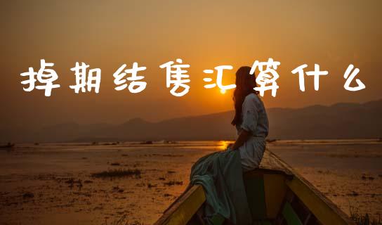 掉期结售汇算什么_https://wap.ycdhulan.com_金融咨询_第1张