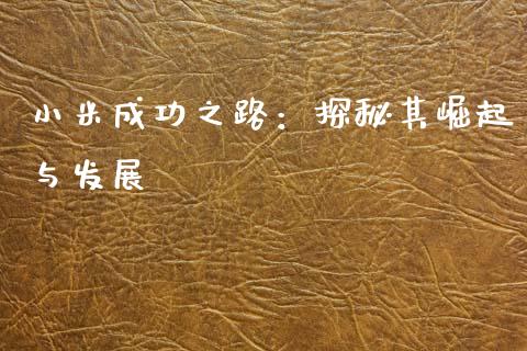 小米成功之路：探秘其崛起与发展_https://wap.ycdhulan.com_财务投资_第1张