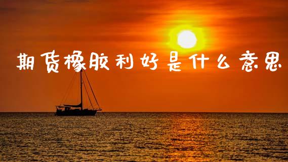 期货橡胶利好是什么意思_https://wap.ycdhulan.com_投资基金_第1张
