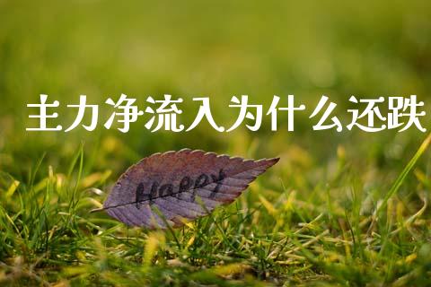 主力净流入为什么还跌_https://wap.ycdhulan.com_国际财经_第1张