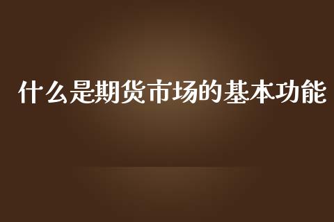 什么是期货市场的基本功能_https://wap.ycdhulan.com_投资基金_第1张