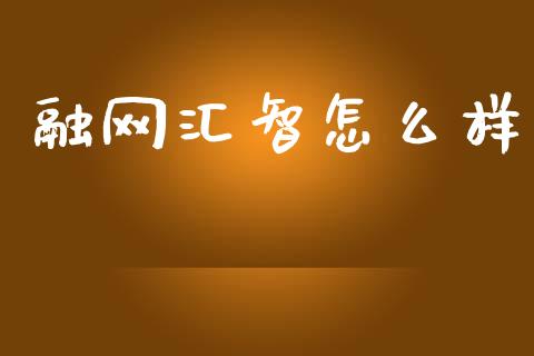 融网汇智怎么样_https://wap.ycdhulan.com_货币市场_第1张