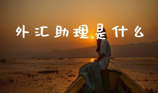 外汇助理是什么_https://wap.ycdhulan.com_国际财经_第1张