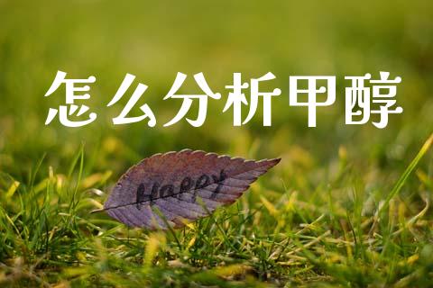 怎么分析甲醇_https://wap.ycdhulan.com_国际财经_第1张