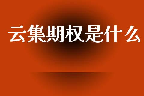 云集期权是什么_https://wap.ycdhulan.com_投资基金_第1张