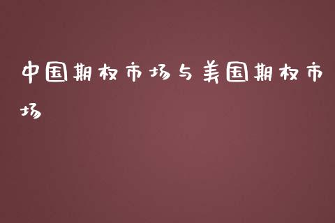 中国期权市场与美国期权市场_https://wap.ycdhulan.com_财务投资_第1张