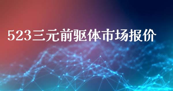 523三元前驱体市场报价_https://wap.ycdhulan.com_投资基金_第1张