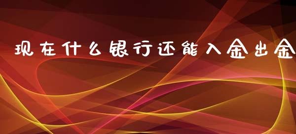 现在什么银行还能入金出金_https://wap.ycdhulan.com_国际财经_第1张