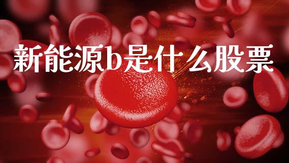 新能源b是什么股票_https://wap.ycdhulan.com_财经新闻_第1张