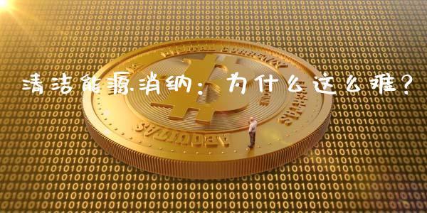 清洁能源消纳：为什么这么难？_https://wap.ycdhulan.com_国际财经_第1张