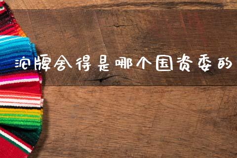 沱牌舍得是哪个国资委的_https://wap.ycdhulan.com_国际财经_第1张