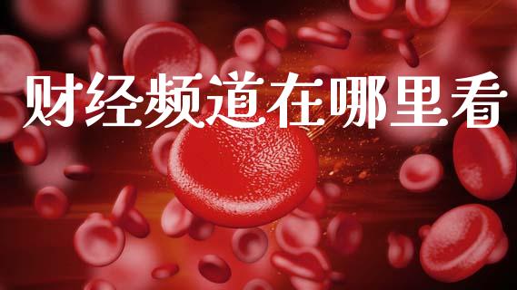 财经频道在哪里看_https://wap.ycdhulan.com_金融咨询_第1张