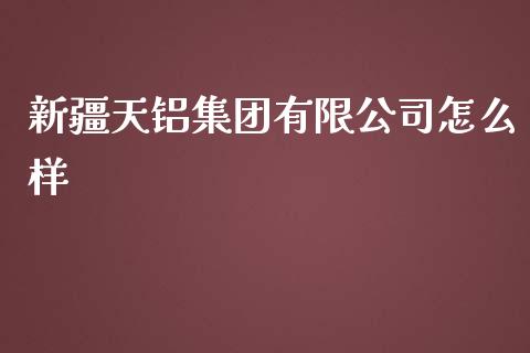 新疆天铝集团有限公司怎么样_https://wap.ycdhulan.com_金融咨询_第1张