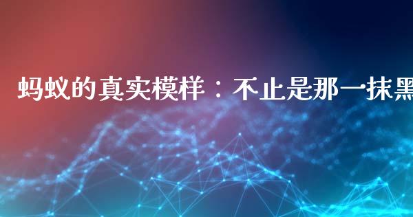 蚂蚁的真实模样：不止是那一抹黑_https://wap.ycdhulan.com_投资基金_第1张