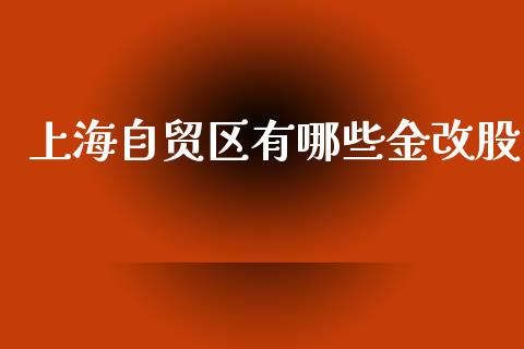 上海自贸区有哪些金改股_https://wap.ycdhulan.com_国际财经_第1张