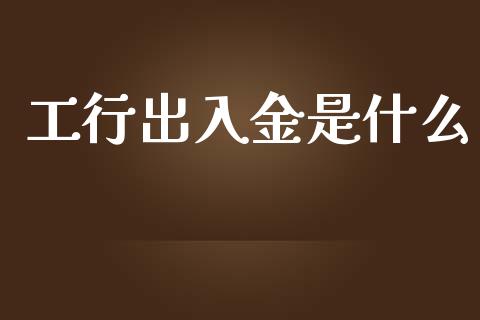 工行出入金是什么_https://wap.ycdhulan.com_财务投资_第1张