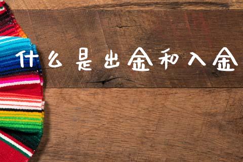 什么是出金和入金_https://wap.ycdhulan.com_投资基金_第1张