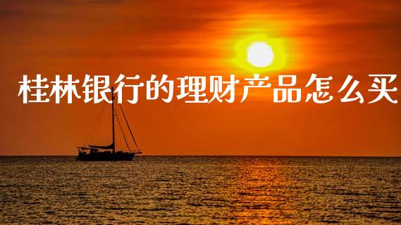 桂林银行的理财产品怎么买_https://wap.ycdhulan.com_金融咨询_第1张