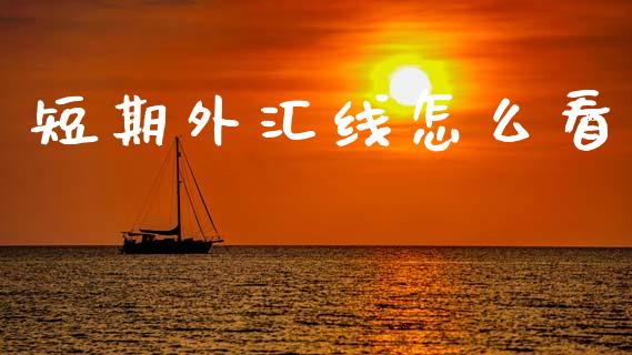 短期外汇线怎么看_https://wap.ycdhulan.com_投资基金_第1张