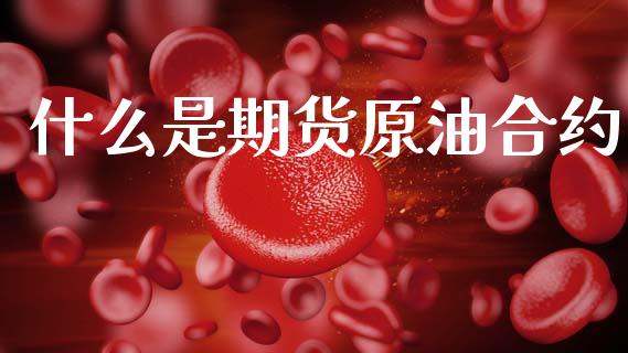 什么是期货原油合约_https://wap.ycdhulan.com_货币市场_第1张