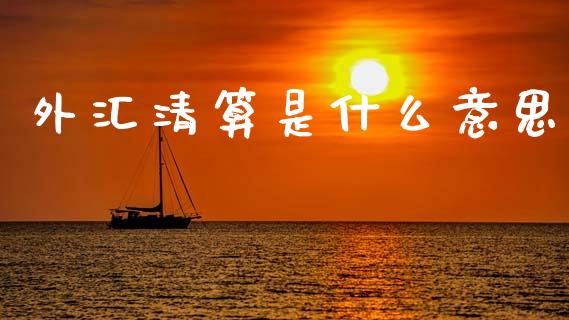 外汇清算是什么意思_https://wap.ycdhulan.com_投资基金_第1张