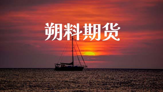 朔料期货_https://wap.ycdhulan.com_投资基金_第1张