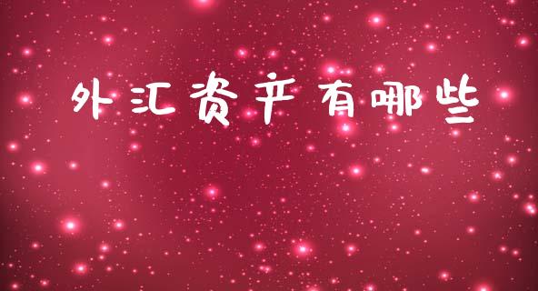 外汇资产有哪些_https://wap.ycdhulan.com_金融咨询_第1张