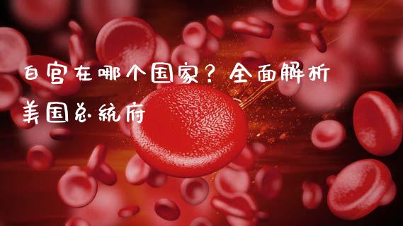 白宫在哪个国家？全面解析美国总统府_https://wap.ycdhulan.com_国际财经_第1张