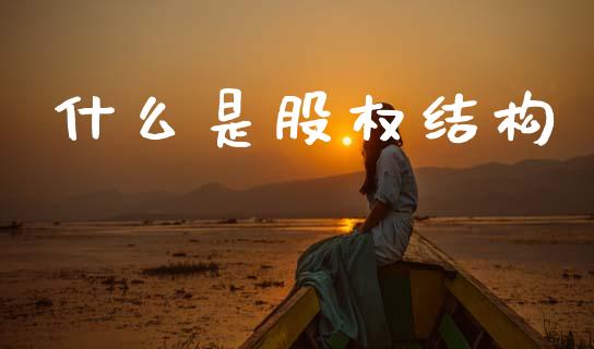什么是股权结构_https://wap.ycdhulan.com_国际财经_第1张