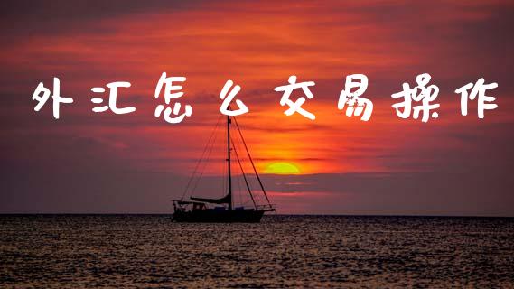外汇怎么交易操作_https://wap.ycdhulan.com_财经新闻_第1张