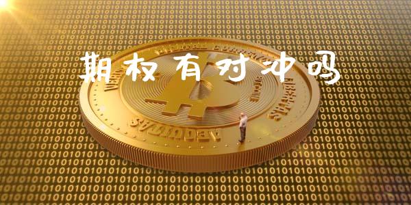 期权有对冲吗_https://wap.ycdhulan.com_投资基金_第1张