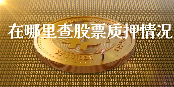 在哪里查股票质押情况_https://wap.ycdhulan.com_财务投资_第1张