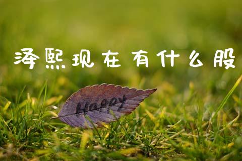 泽熙现在有什么股_https://wap.ycdhulan.com_投资基金_第1张