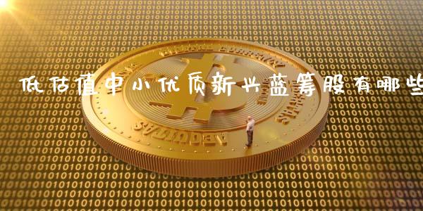 低估值中小优质新兴蓝筹股有哪些_https://wap.ycdhulan.com_财务投资_第1张