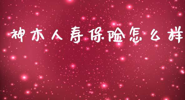 神木人寿保险怎么样_https://wap.ycdhulan.com_金融咨询_第1张