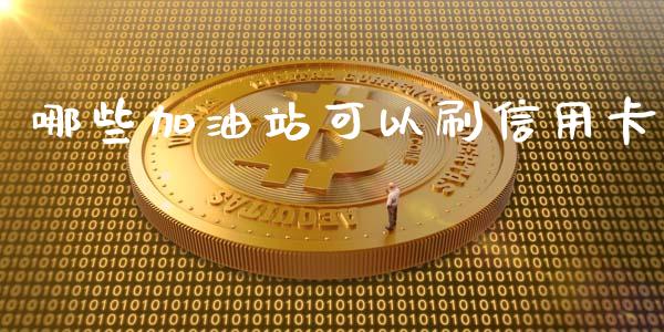 哪些加油站可以刷信用卡_https://wap.ycdhulan.com_财务投资_第1张