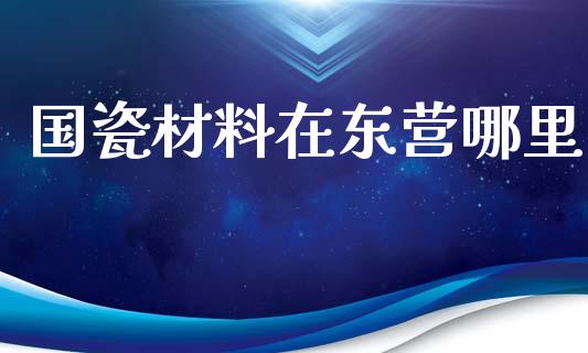 国瓷材料在东营哪里_https://wap.ycdhulan.com_财务投资_第1张