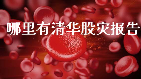 哪里有清华股灾报告_https://wap.ycdhulan.com_财务投资_第1张