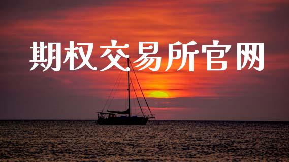 期权交易所官网_https://wap.ycdhulan.com_货币市场_第1张