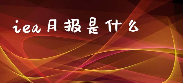 iea月报是什么_https://wap.ycdhulan.com_货币市场_第1张