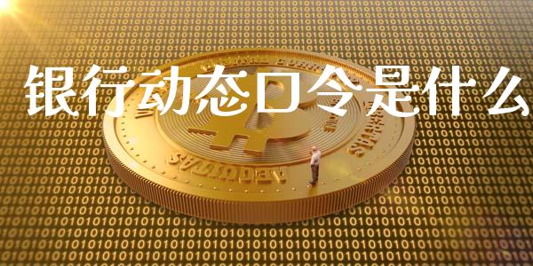 银行动态口令是什么_https://wap.ycdhulan.com_投资基金_第1张