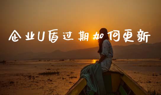 企业U盾过期如何更新_https://wap.ycdhulan.com_金融咨询_第1张