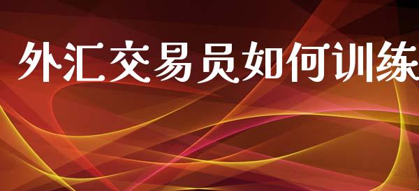 外汇交易员如何训练_https://wap.ycdhulan.com_金融咨询_第1张