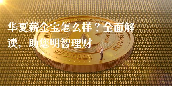 华夏薪金宝怎么样？全面解读，助您明智理财_https://wap.ycdhulan.com_投资基金_第1张